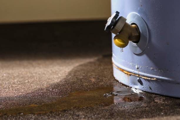 Best Water damage contractors near me  in Austell, GA
