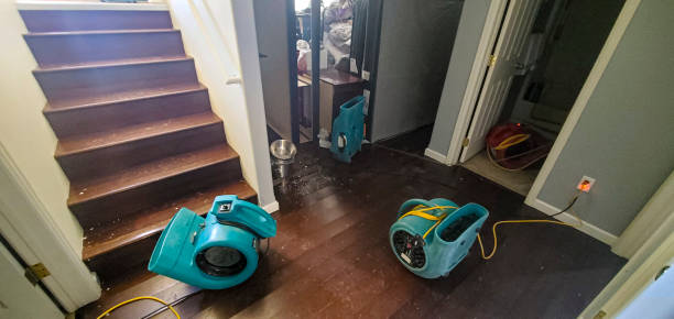 Best Flooded house restoration  in Austell, GA