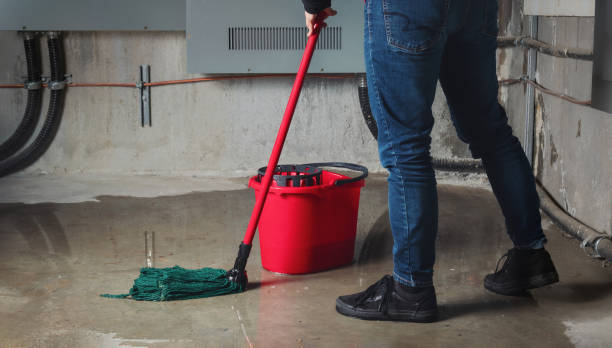 Best Water damage cleanup near me  in Austell, GA