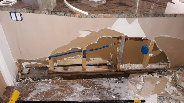 Best Ceiling water damage repair  in Austell, GA