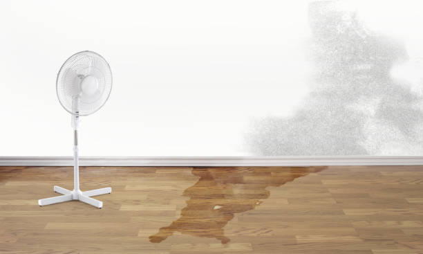 Best Water damage restoration near me  in Austell, GA