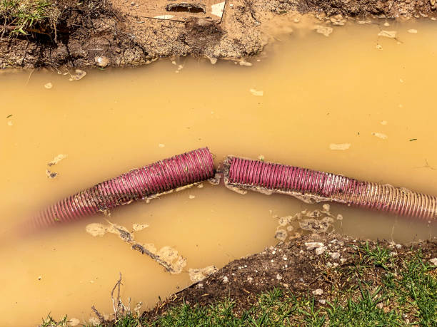 Best 24/7 water damage repair  in Austell, GA